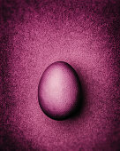 Dusty pink Easter egg on a dusty pink background