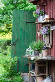 Bouquet of lilac in basket on wall and potted oregano and violas