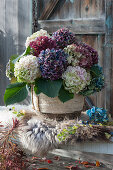 A lush bouquet of hydrangeas in a basket