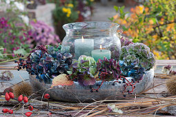 Lantern with a wreath of hydrangea blossoms and wild grape berries in a silver bowl, twig with rose hips