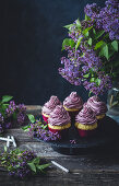 Vanilla cupcakes with purple frosting