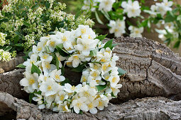 Fragrant wreath of English Dogwood blossoms