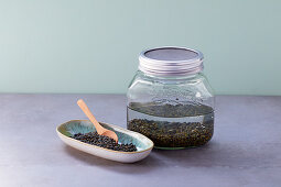 Mountain lentils germinating in a jar of water