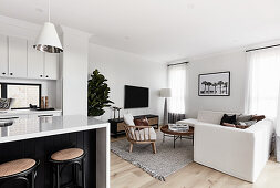 Modern, multifunctional, monochrome interior