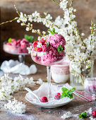 Raspberry ice cream in a stemmed glass