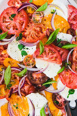 Tomato summer salad with mozzarella