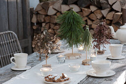 Kleine Bäumchen für weihnachtliche Tischdekoration basteln: gedeckter Tisch mit gebundenen Bäumchen aus Kiefer, Ahorn und Haselzweigen