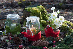 Christmas rose and lanterns wrapped with felt, tree stump with moss, pinecones, and Christmas tree ornaments as decoration