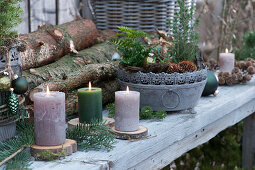 Christmas decorations with candles on wooden discs and bowl with small white spruce, fern, cones, and Christmas tree decorations