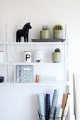 Potted cacti and succulents on wall-mounted shelves