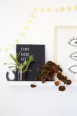Blattschmuckpflanzen auf Wandbord mit Bildern