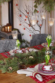 Weihnachtstisch mit Tannenzweigen und Hyazinthen dekoriert
