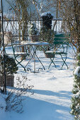 Small seating area in the snowy garden, baskets with pine trees and white spruce