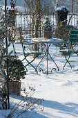 Small seating area in the snowy garden, baskets with pines and sugar loaf spruce