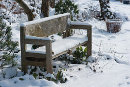 A wooden bench in the snowy garden