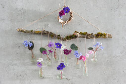 Hanging flower tableau on a branch: African violet flowers in small vials as wall decoration