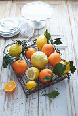 Selection of citrus fruit