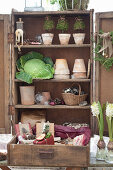 An old wooden cupboard with flower pots, cabbages and decorative utensils
