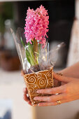 Decorated gingerbread cups with hyacinth