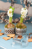 Hyacinths, gingerbread, and heart-shaped cookie cutters