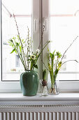 Vases of white spring flowers: tulip, anemone, willow catkins, waxflower, hyacinths, star-of-Bethlehem and cherry branch