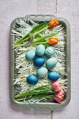 Colorful dyed Easter eggs in different shades of blue