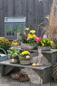 Arrangement auf Blumentreppe: Schalen und Körbe mit Primeln, Schlüsselblume, Goldlack 'Winter Orchid' 'Mango Zwerg', Hornveilchen und Hyazinthen, Osterhasen und Ostereier, Kranz aus Lärchenzapfen