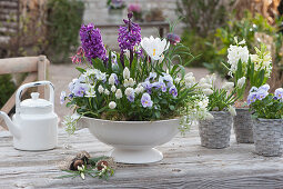 White bowl and basket with hyacinths, grape hyacinths, horned violets, crocus, checkerboard flowers, and Ornithogalum