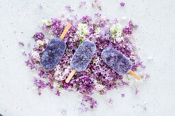 Lilac syrop popsicles