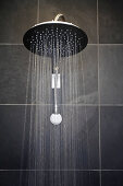 Rainfall shower head in bathroom with black tiles