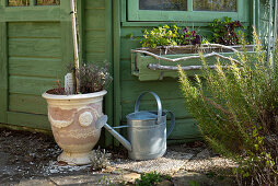 Rosemary, window box, planter, and watering can at the garden house