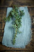 Juniper branch on blue gauze cloth