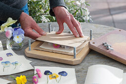 Design greeting cards with flowers: Put the flowers in the flower press
