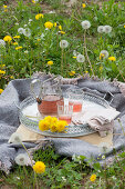 Relaxing setting in a meadow of dandelions with a blanket, pillows, and a tray with flowers, a pitcher of tea and glasses