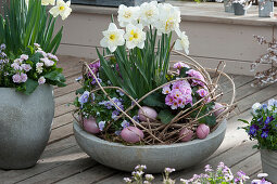 Easter terrace with daffodils 'Ice Follies' 'Ice King', primroses and horned violets, clematis tendrils, and Easter eggs as decoration