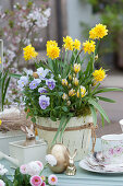 Easter decoration with daffodil 'Tete Boucle', tulips, and horned violets, Easter bunny, and Easter egg