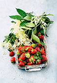 Strawberries and elderflowers