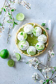 Lime curd pie with meringue