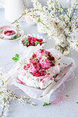 Pavlova with raspberry icecream