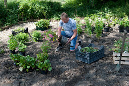 Create a bed of perennials and shrubs