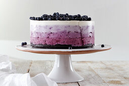 Blueberry Ombre Cake (Raw Baking)