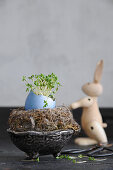Blue colored Easter eggshell with cress and wooden rabbit
