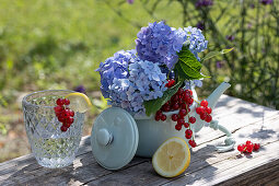 Kleines Sommergesteck mit blauen Hortensienblüten und roten Johannisbeeren, Glas mit Zitrone und Johannisbeere