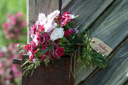 Bouquet of carnations with grass clamped to door handle, message: carnation greeting