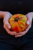 A woman holding a freshly harvested beefsteak tomato