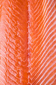Salmon (full picture)