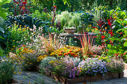 Spätsommerbeete mit Einfassung aus Backsteinen: Petunie Mini Vista 'Violet Star', Blaues Gänseblümchen, Thymian, Zinnien, Japanisches Rotgras 'Red Baron', Prachtkerze, Currykraut, Storchschnabel, Palmkohl 'Nero di Toscana',  Garten-Fuchsschwanz, Arbeitstisch mit Erntekorb und Gießkanne