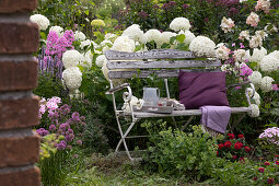 Bench in late summer border with shrub hydrangea 'Annabelle', phlox, Allium, zinnias, stonecrop, pillow