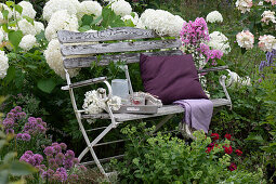 Bench in a late summer border with Smooth hydrangea 'Annabelle', phlox, stonecrop, anise hyssop and allium