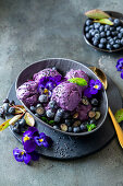 Blueberry icecream